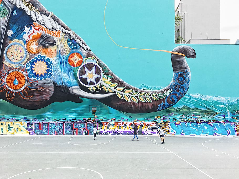 three persons on road, three people near basketball hoop, elephant, HD wallpaper