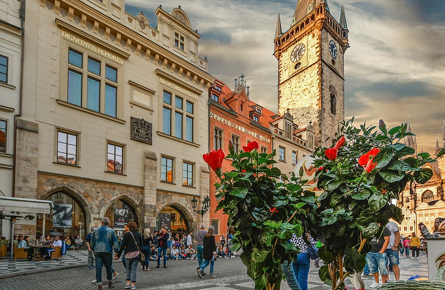 Prague, Astronomical, Clock, Clock, Tower, Old, town, praha