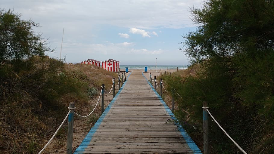 Gateway, Input, Path, Beach, Trees, Sea, mediterranean, the way forward HD wallpaper