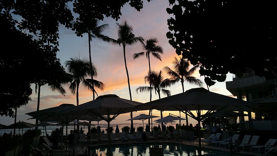 silhouette of parasols near body of water, sunset, beach, hawaii HD wallpaper