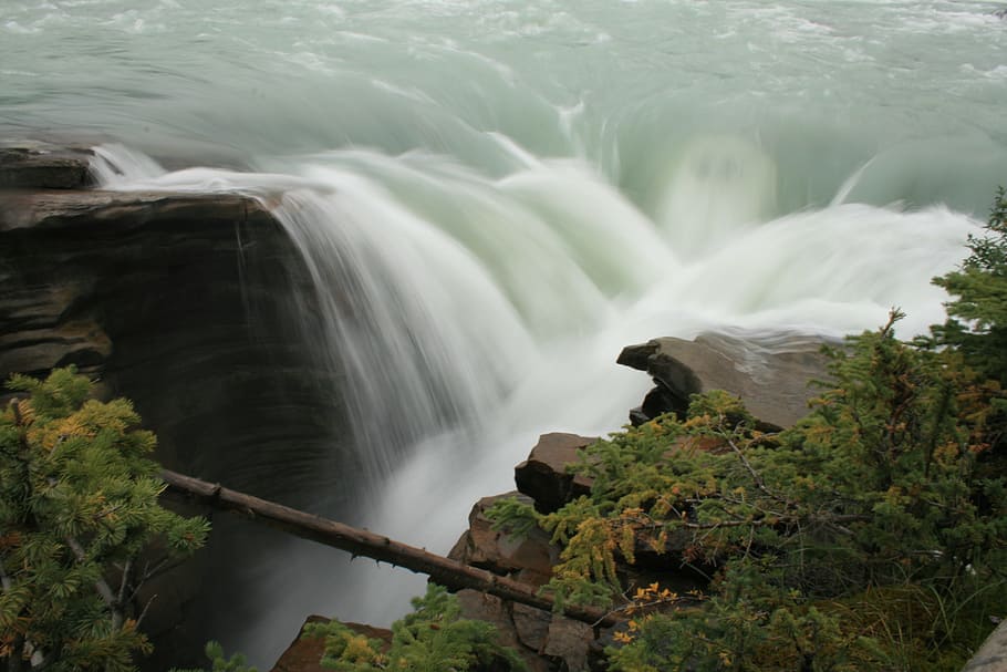 Green Trees Near the Waterfall, cascade, cliff, outdoors, rapids HD wallpaper