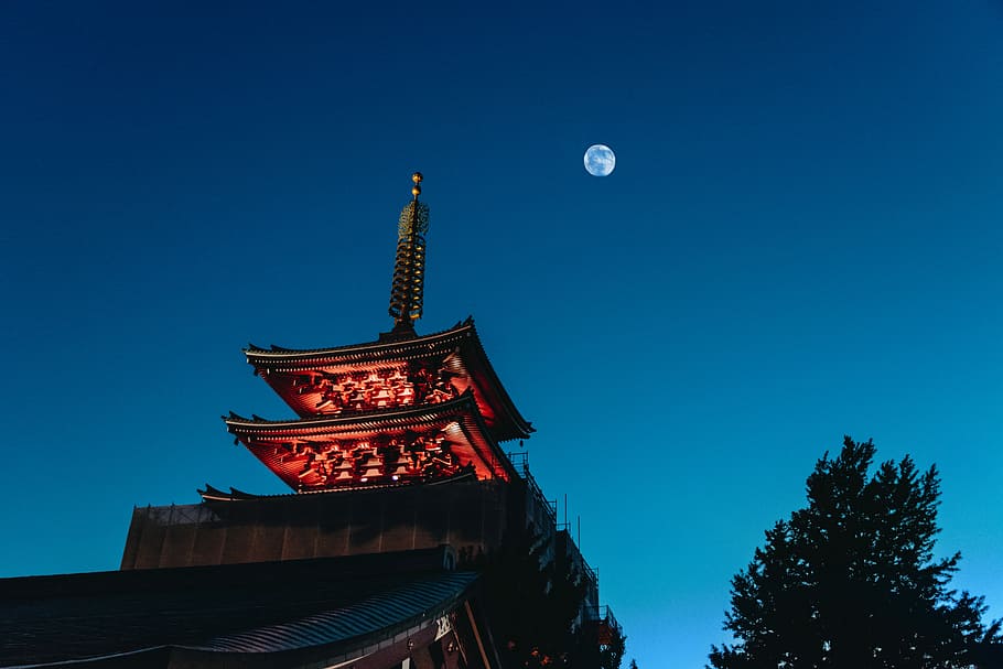 Pagoda under the moon, brown and black 2-storey house under full moon HD wallpaper