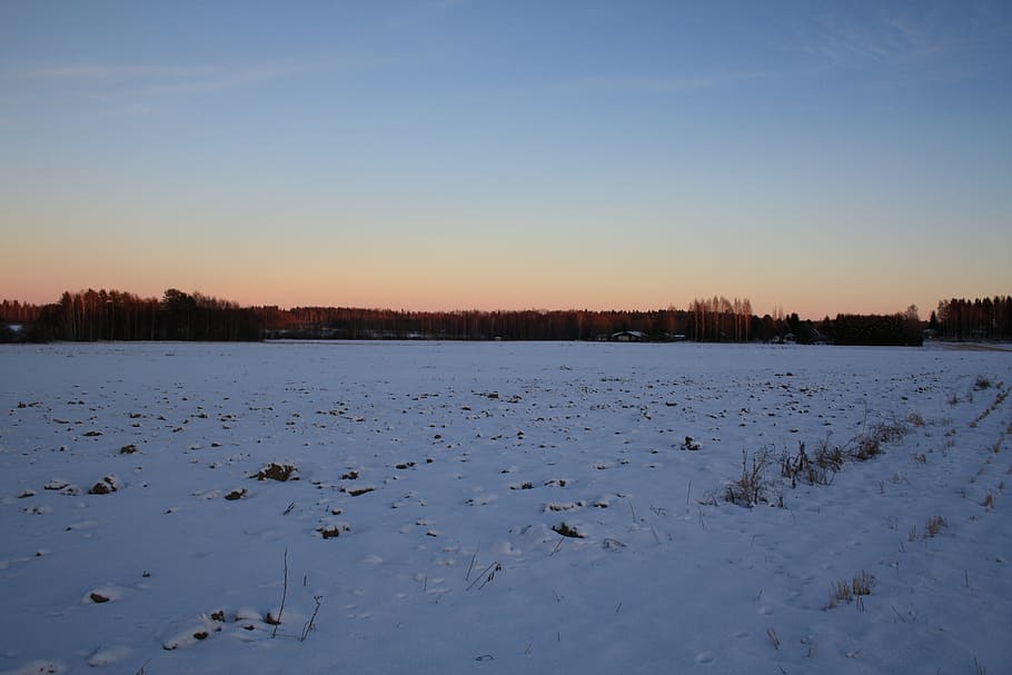 sun, winter, landscape, sky, finnish, snow, nature, frost, blue sky HD wallpaper
