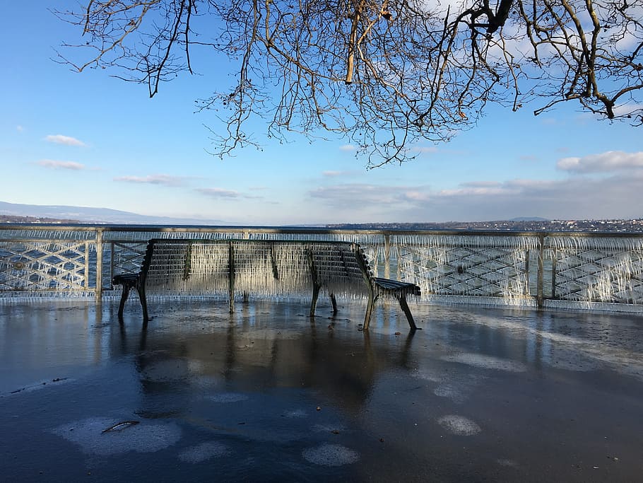 bench, gel, ice, winter, water, sky, nature, tree, bare tree HD wallpaper
