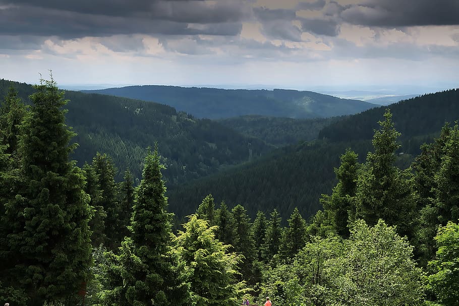 mountain with green trees, forest, view, distant view, thuringian forest HD wallpaper