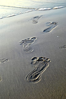 footprints on sand, footsteps, traces, barefoot, beach, walk HD wallpaper