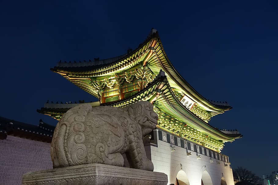 pagoda temple, gwanghwamun, night view, sejongno, historic sites, HD wallpaper