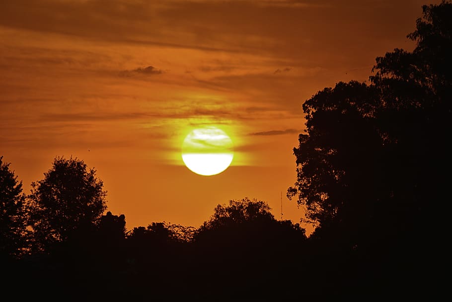 sun, sunset, horizon, setting sun, landscape, evening sun, natural landscape HD wallpaper