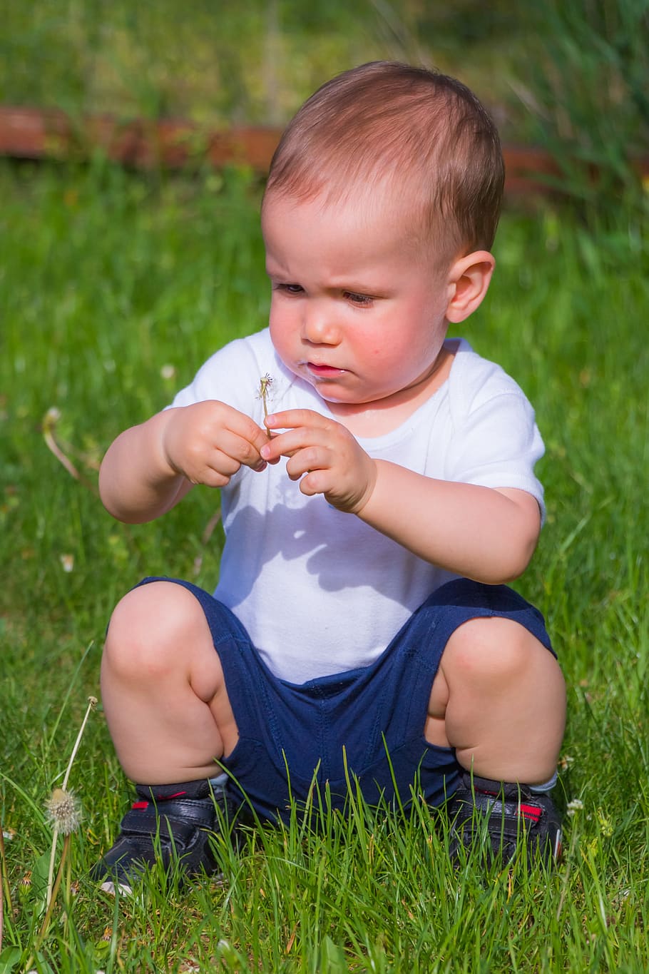 baby sitting on green grass holding white flower during daytime HD wallpaper