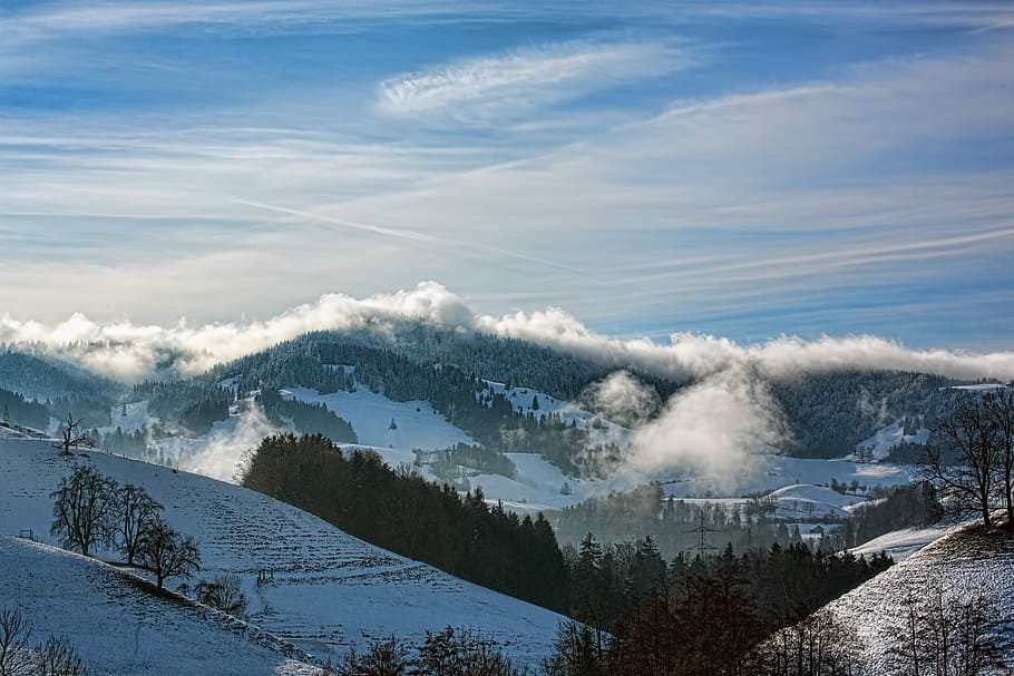 mountain filled with snow, snow covered mountain, cloud, tree HD wallpaper