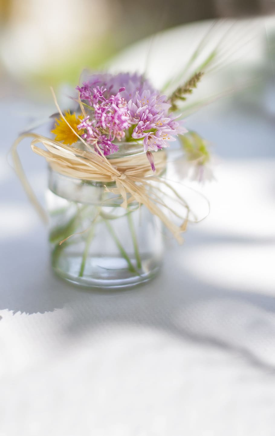 purple petaled flower with vase selective focus photography, pink petaled flowers in glass jar filled with water HD wallpaper