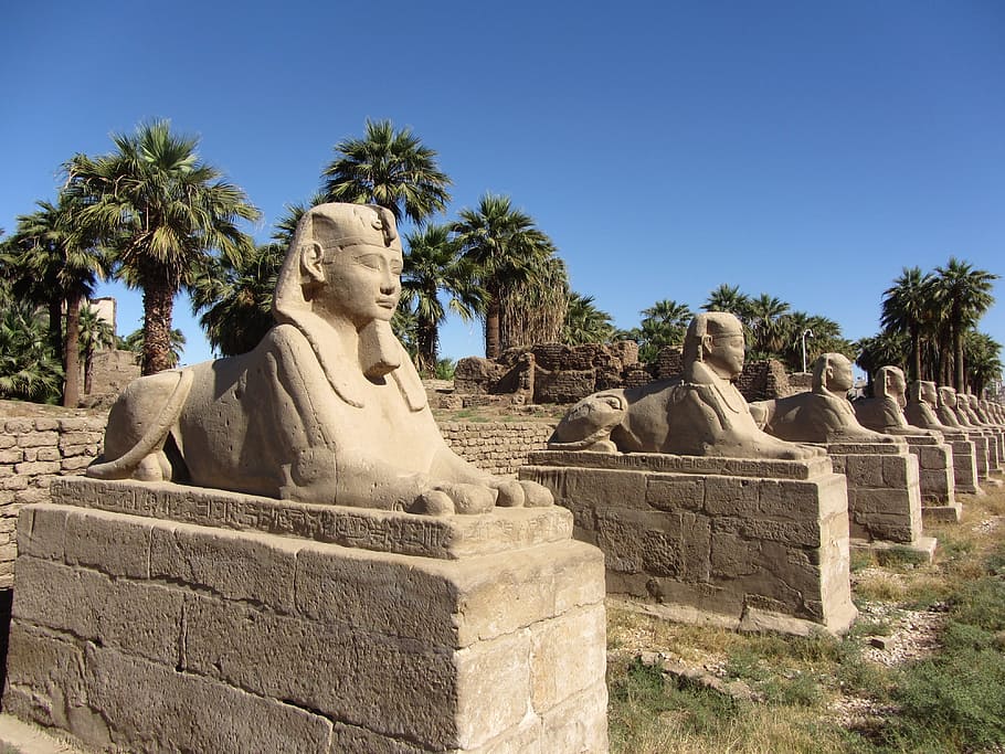 Pharaoh, Sphinx, Egypt, Old, Sculpture, egyptian, stone, luxor, HD wallpaper