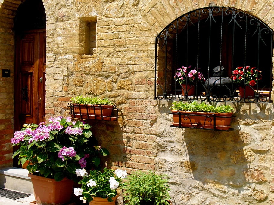 italy, flowers, window, flowering plant, architecture, built structure HD wallpaper