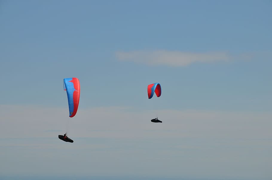 paragliding, extreme, sky, wing, action, paraglide, blue, fly HD wallpaper