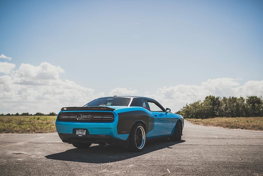 blue sports car parked on the middle of road, blue and black Dodge Challenger coupe HD wallpaper