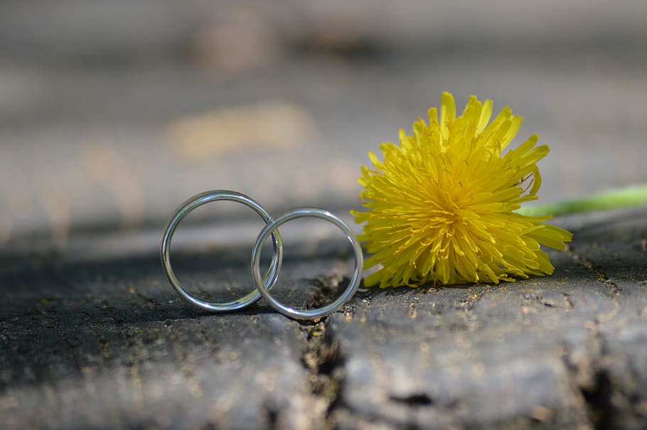 yellow petal flowers on floor, wedding, ring, wedding ring HD wallpaper