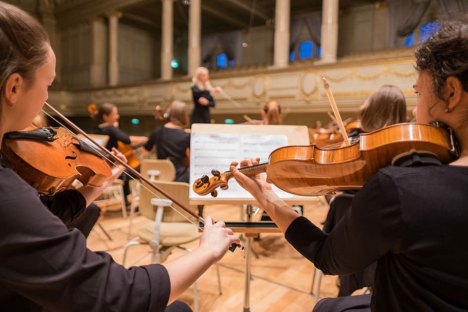 orchestra playing their piece, photograph of group of people playing violins