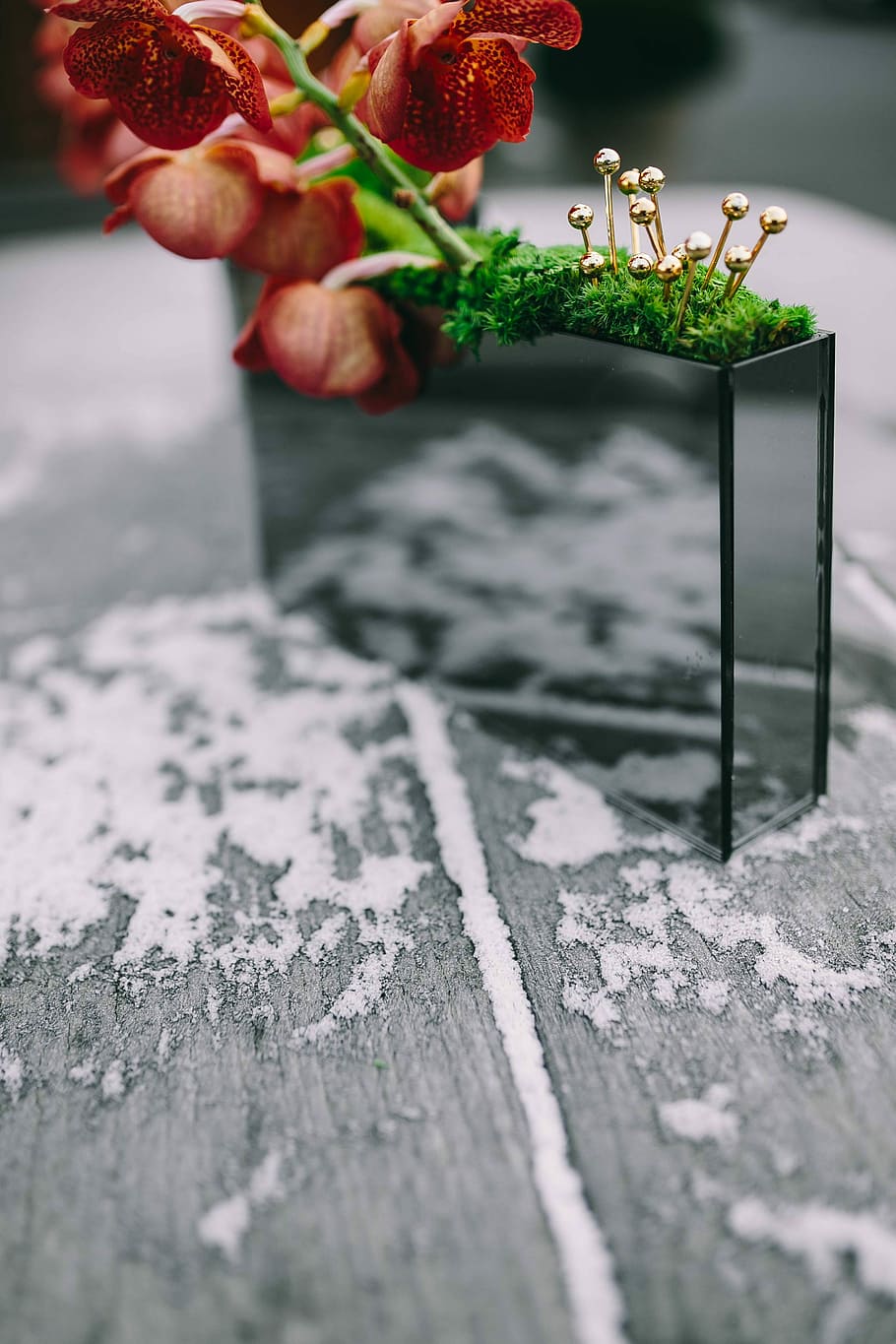 Miniature ornamental plants in rectangular boxes, small, decoration HD wallpaper