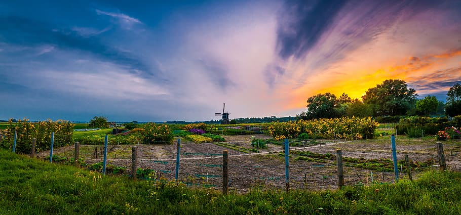 Evening, Wind Mill, Sunset, peaceful, view, nature, brand, cloud - sky HD wallpaper