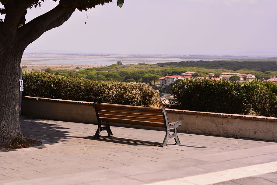 Bench, Lonely, Tree, Balcony, View, peaceful, loneliness, wooden HD wallpaper