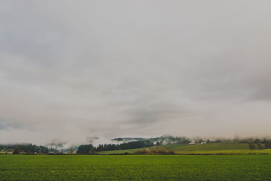 green grass field under cloudy sky, green grass field near the mountain with tree under white cloud HD wallpaper