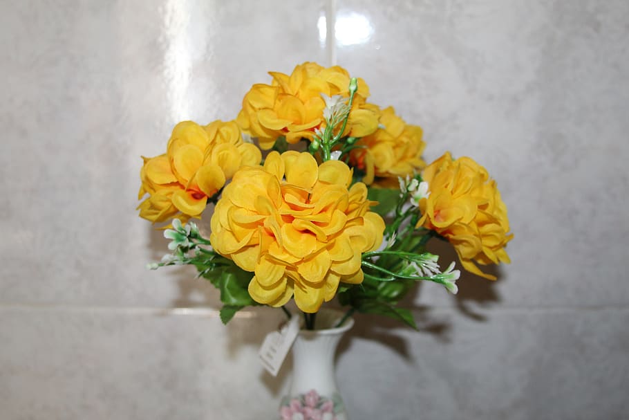 yellow, flowers, flowering plant, beauty in nature, freshness HD wallpaper