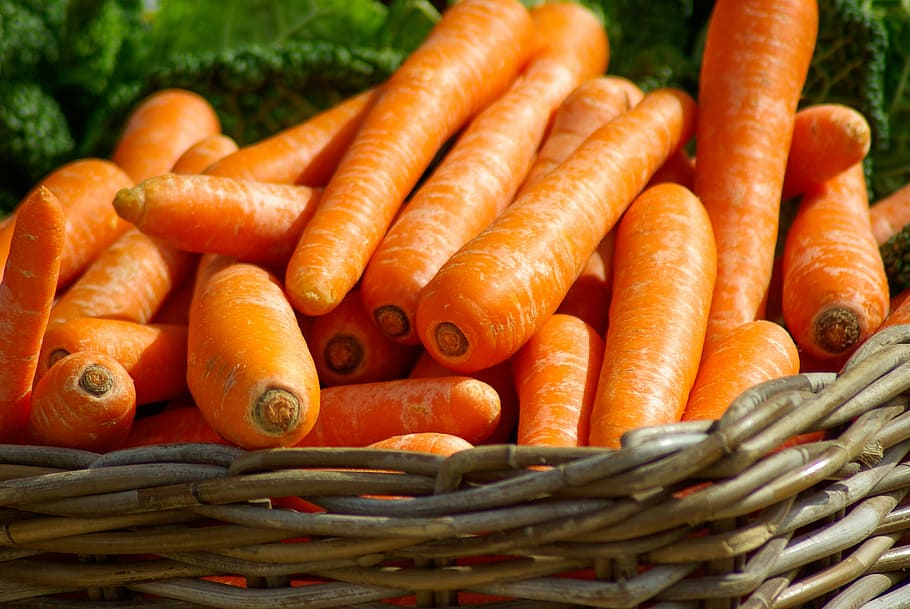carrot lot, carrots, basket, vegetables, market, food, freshness