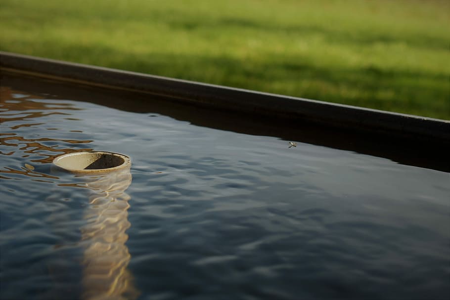 Pond, Plug, Water, Meadow, Nature, garden, wave, swim, mood HD wallpaper