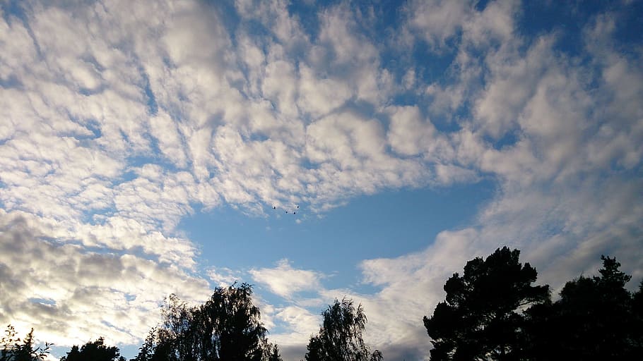 Sky, Clouds, Nature, beauty in nature, tree, cloud - sky, no people HD wallpaper