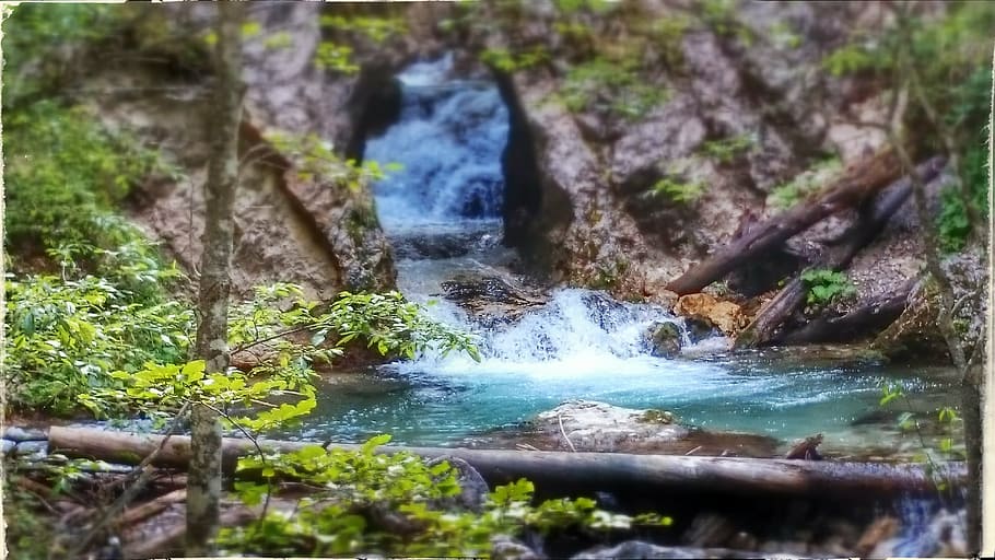 water, tree, gorge, bach, nature, waterfall, river, stream HD wallpaper