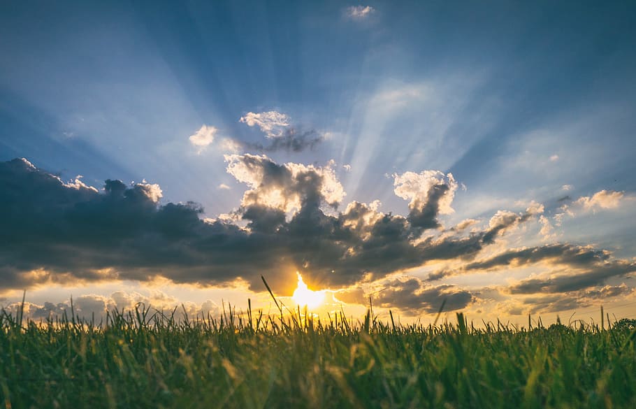 clouds, field, grass, landscape, nature, outdoors, scenic, sky HD wallpaper