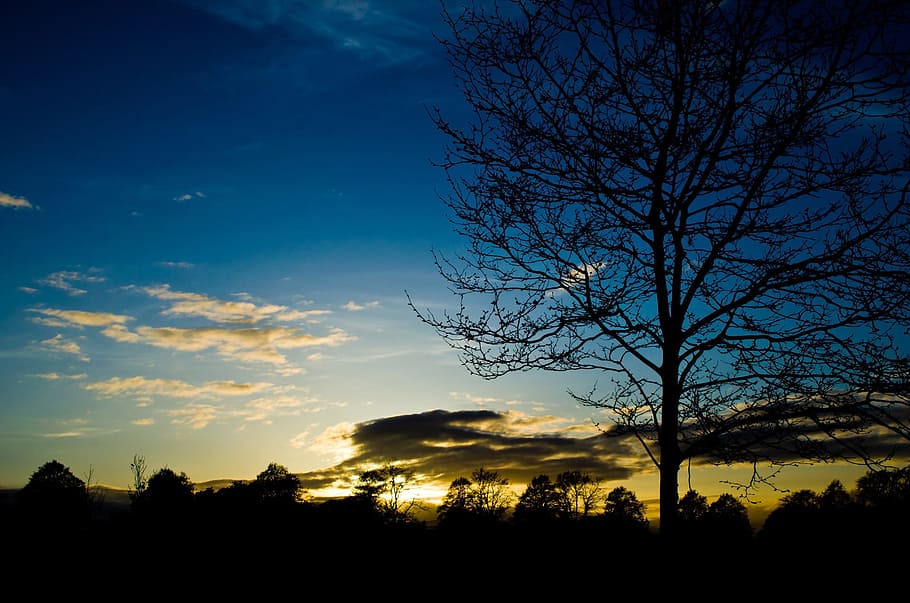 Clouds, Spring, Night, Sky, Tree, trees, sunset, red, seasons HD wallpaper