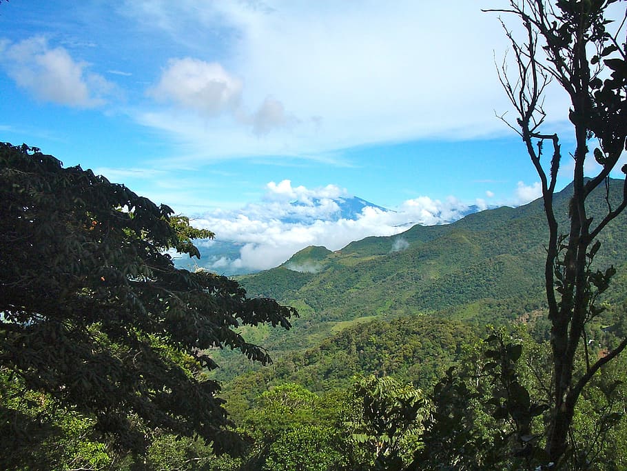 Panama, Cloud Forest, Clouds, sky, travel, central america HD wallpaper