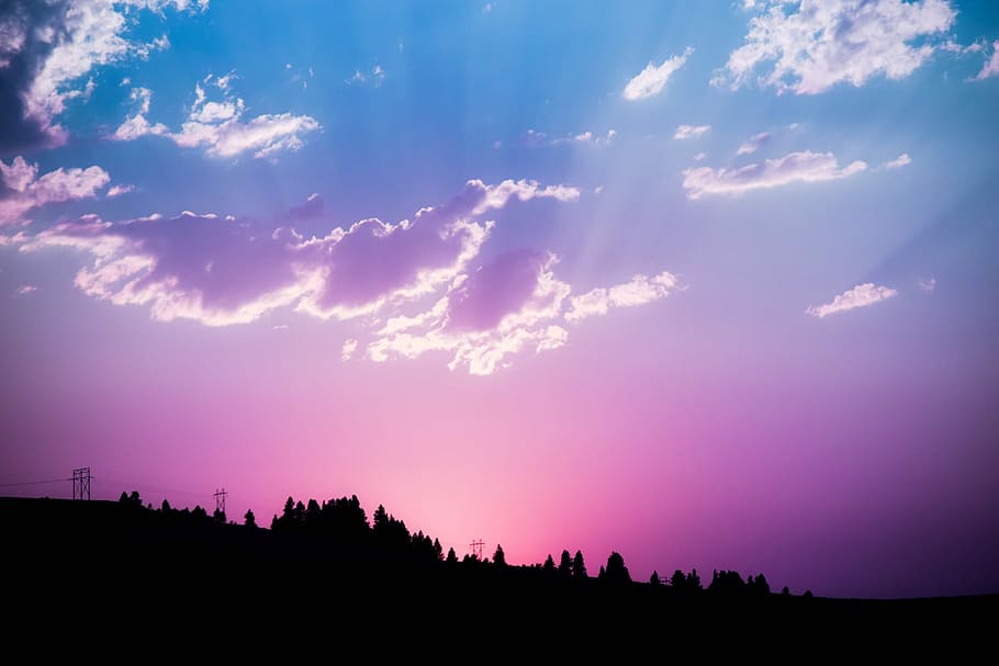 pink and blue cloudy sky, silhouette of trees and electric posts HD wallpaper