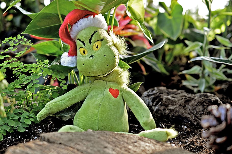 green animal plush toy, Grinch, Green, Christmas, Christmas, Holiday