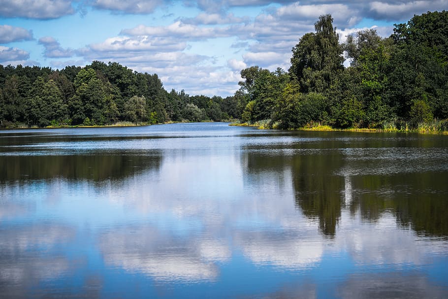Lake, Clouds, Mirroring, Forest, Trees, water, sky, blue, reflection HD wallpaper