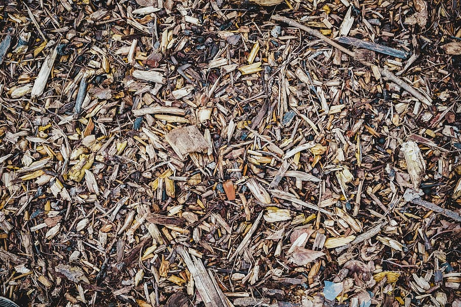 brown leaves, high angle photo of dry leaves, forest, wood chip HD wallpaper