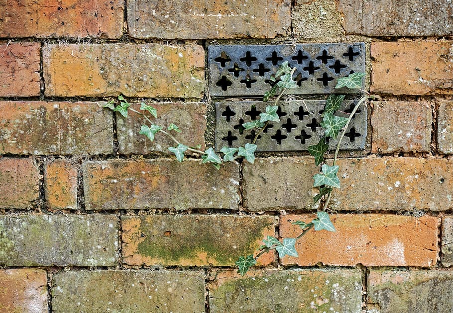 brick, wall, ivy, ventilator, neglect, neglected, decay, abandoned HD wallpaper