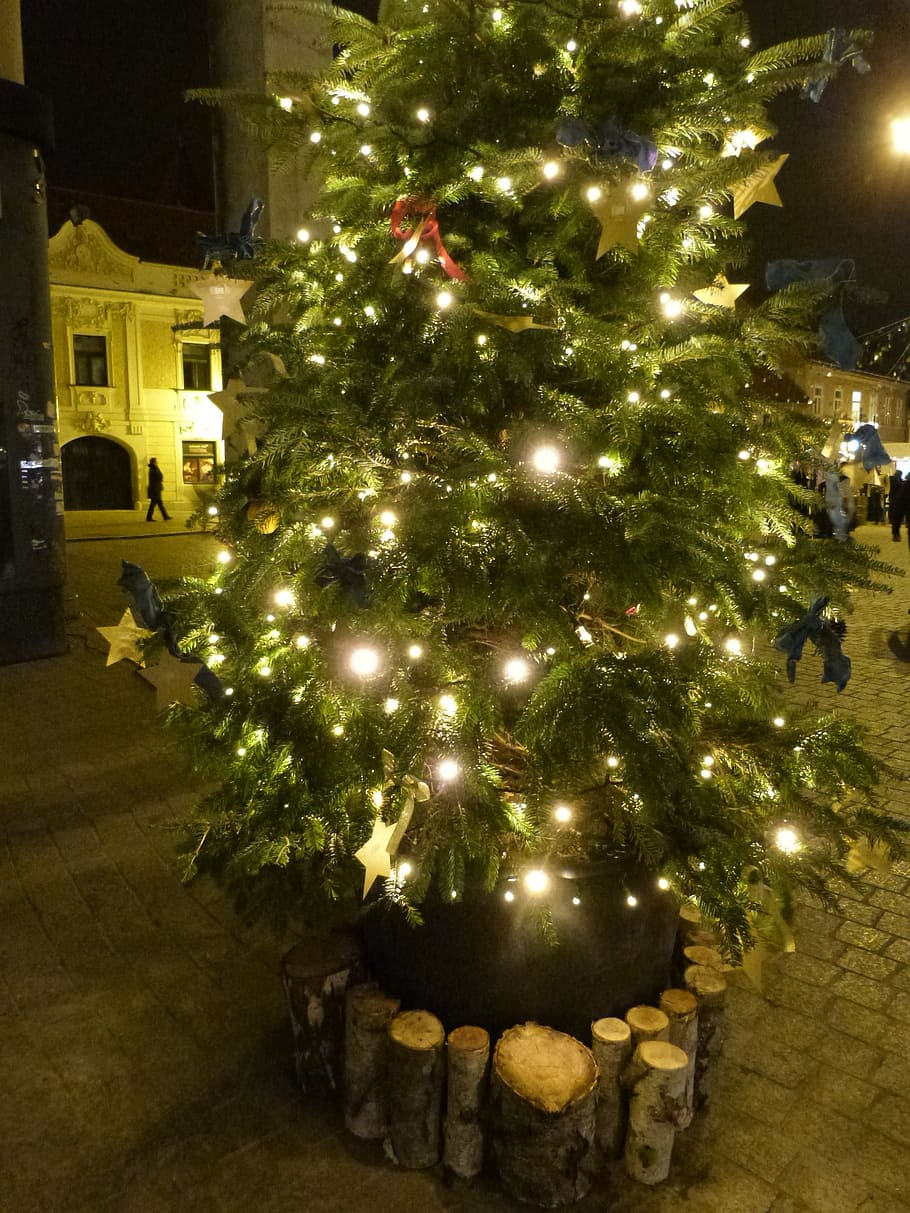 christmas, tree, lights, decoration, holiday, illuminated, celebration HD wallpaper