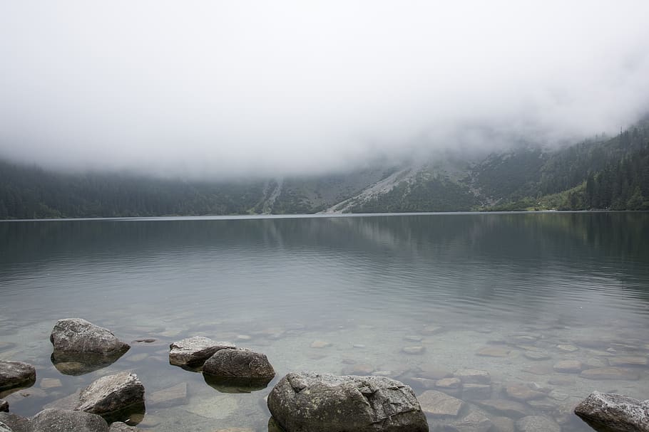 landscape, morskie oko, lake, the fog, poland, nature, water, HD wallpaper