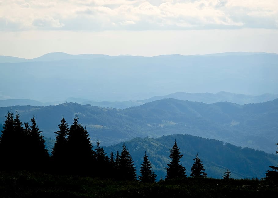 Mountains, Carpathians, the carpathians, summer, landscape