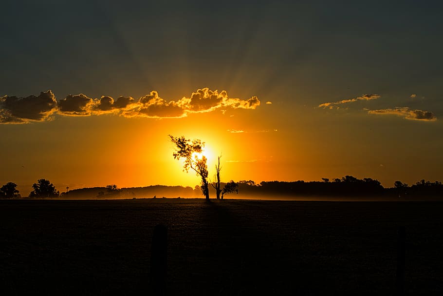 backlit, beautiful, clouds, dawn, dusk, field, idyllic, landscape HD wallpaper