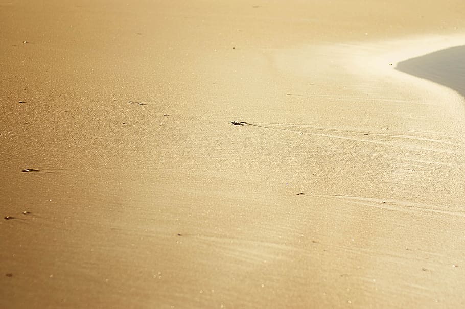 sea, sand, beach, sun, sand dune, water, waves, spain, edge of the sea HD wallpaper