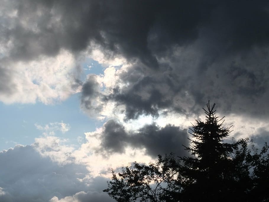 clouds, dark, hell, sky, gloomy, evening, mood, tree, fir, nature HD wallpaper