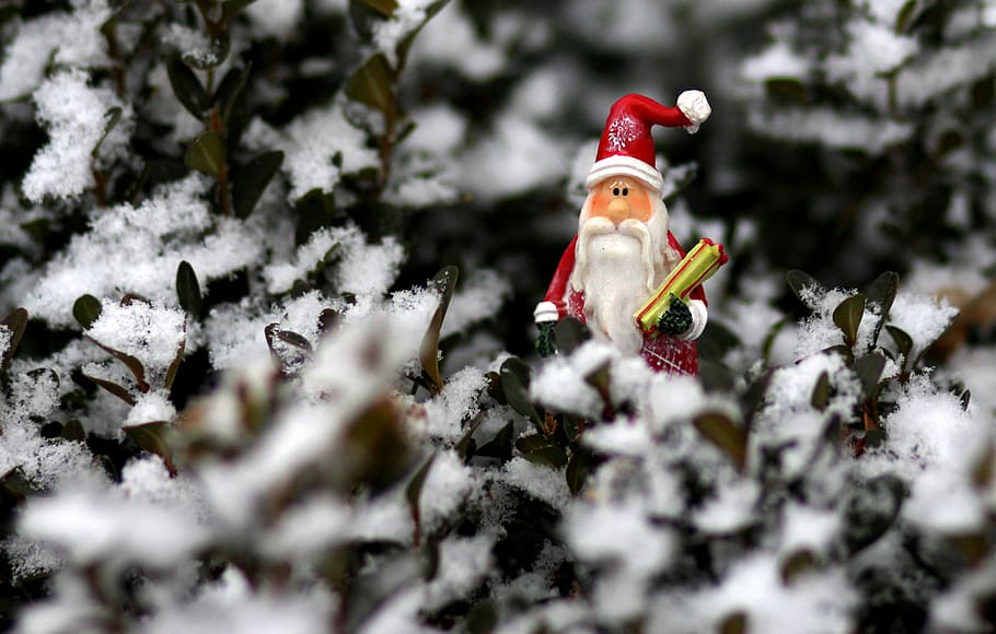 decoration, winter, christmas, snow, toy, christmas decoration HD wallpaper