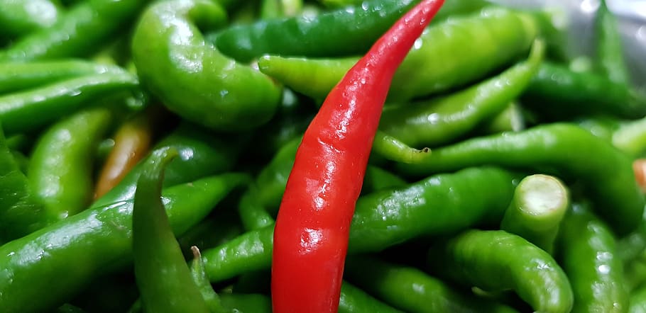 vegetable, food, pod, legume, cooking, food and drink, spice HD wallpaper