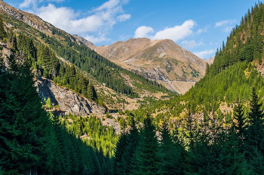 alps, forest, mountains, hills, landscape, wilderness, scenery HD wallpaper