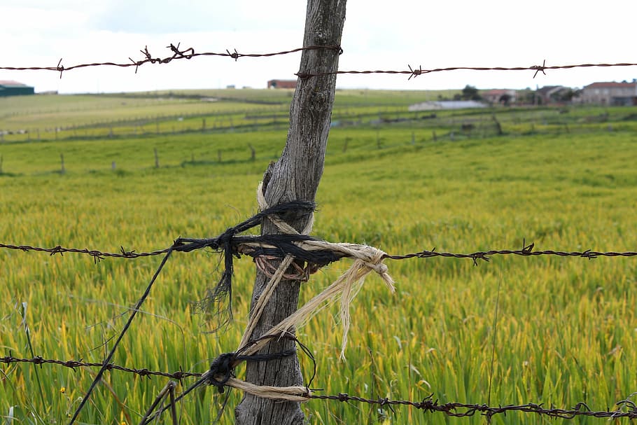 field, gate, castilla, fence, boundary, barrier, barbed wire HD wallpaper