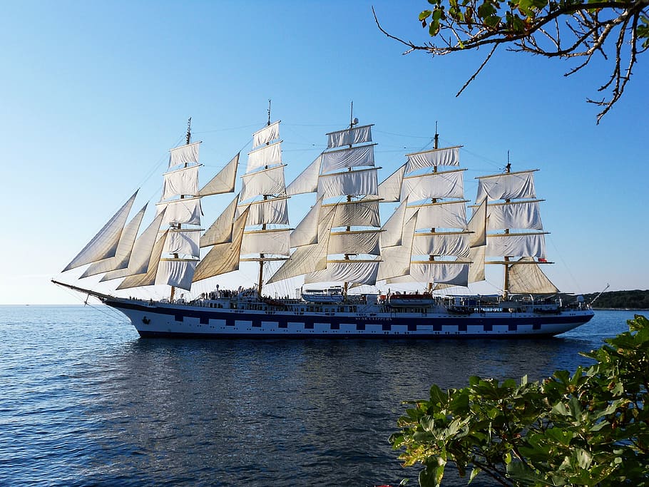 white and grey cruiseship, sailing, sea, nautical Vessel, sailing Ship HD wallpaper