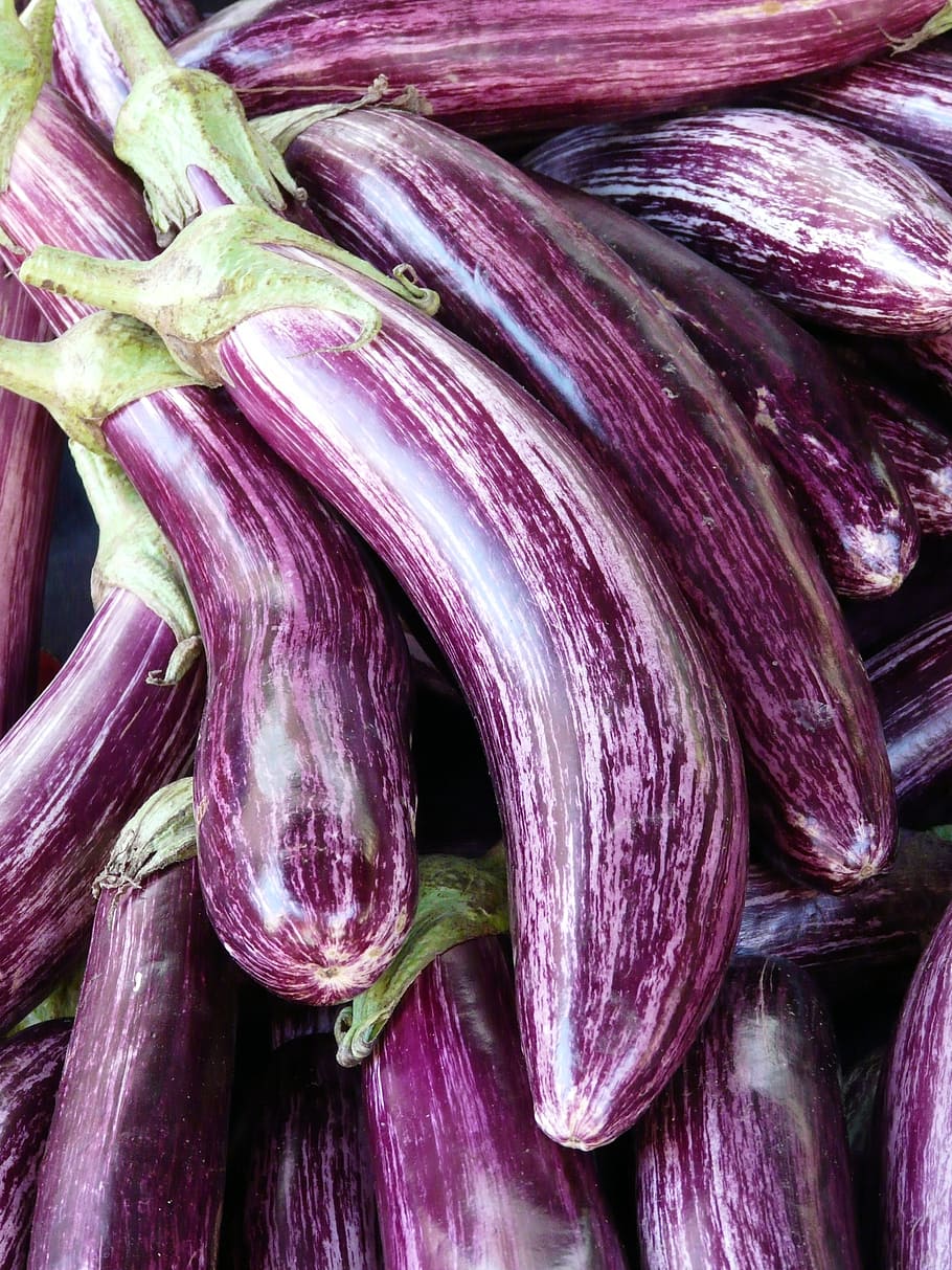 piled up purple eggplants, mark, violet, striped, solanum melongena, HD wallpaper